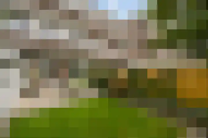 van Halewijnlaan 477 Voorburg thumbnail 26