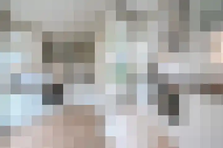 van Halewijnlaan 477 Voorburg thumbnail 30