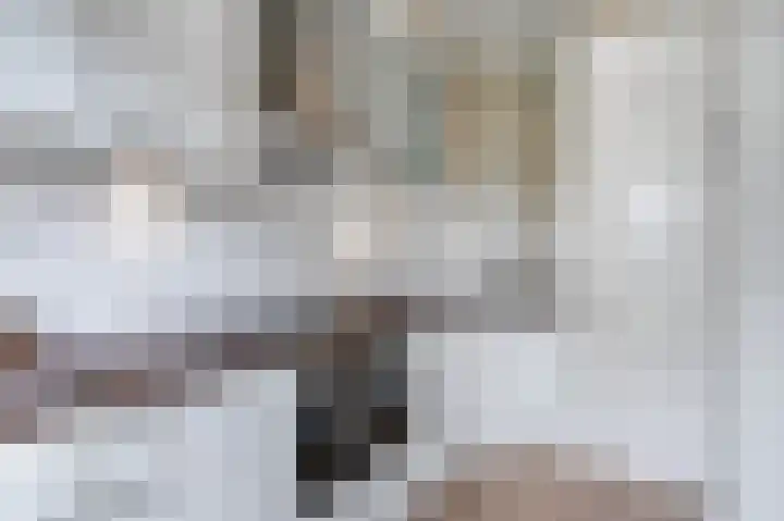 van Halewijnlaan 477 Voorburg thumbnail 31