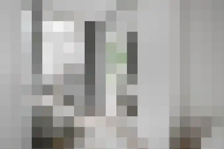 van Halewijnlaan 477 Voorburg thumbnail 32