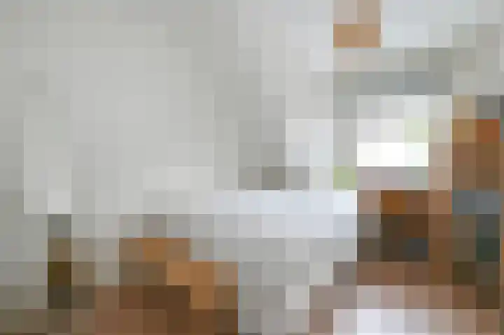 van Halewijnlaan 477 Voorburg thumbnail 35