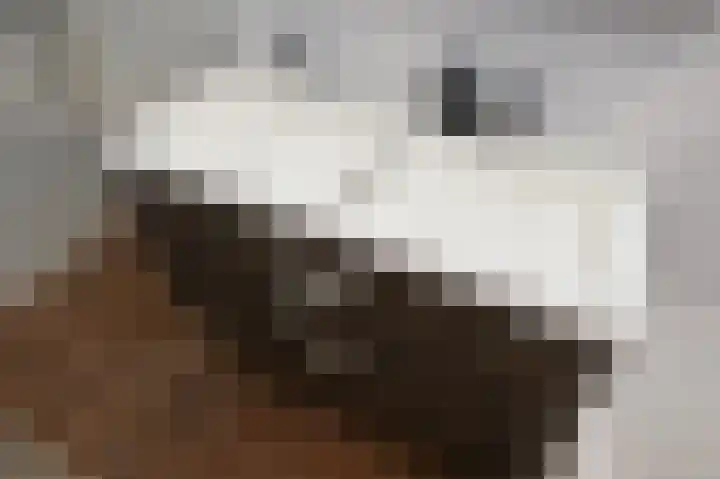 van Halewijnlaan 477 Voorburg thumbnail 38