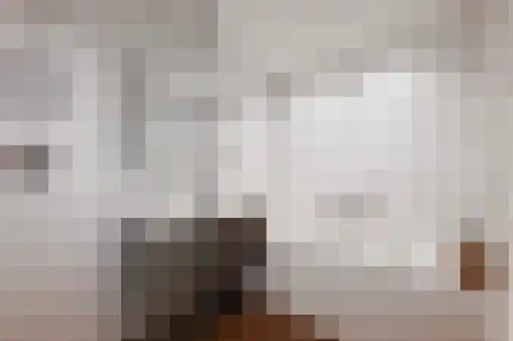 van Halewijnlaan 477 Voorburg thumbnail 39