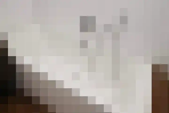 van Halewijnlaan 477 Voorburg thumbnail 43