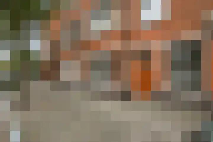 van Halewijnlaan 477 Voorburg thumbnail 45