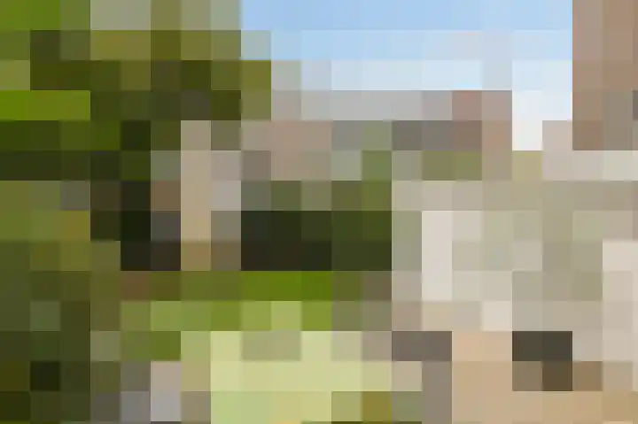 van Halewijnlaan 477 Voorburg thumbnail 50