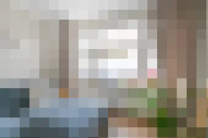 van Halewijnlaan 477 Voorburg thumbnail 8