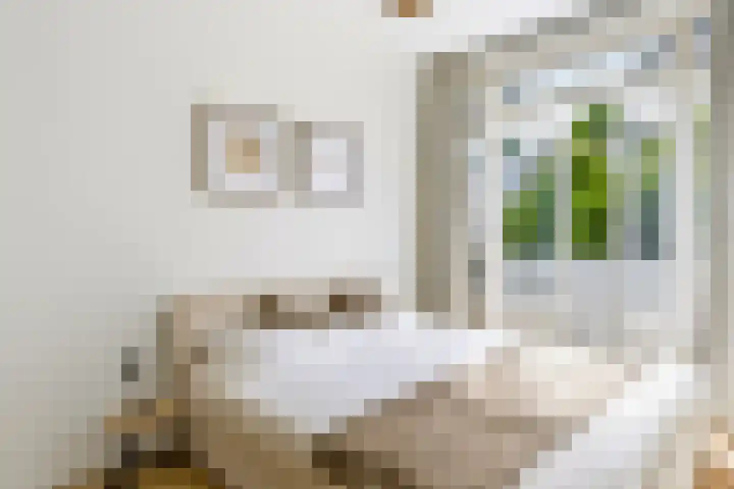 van Halewijnlaan 479 Voorburg thumbnail 14