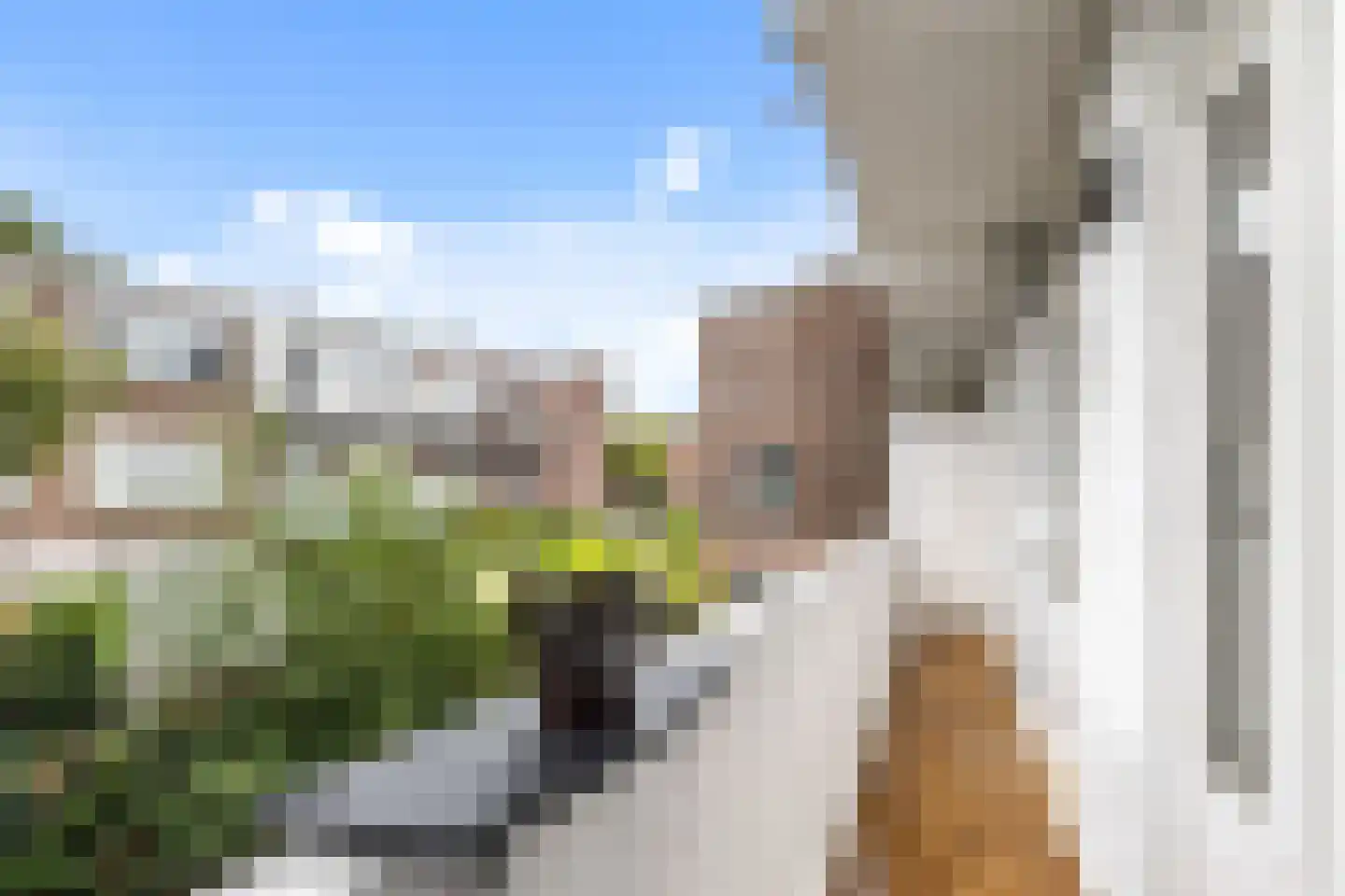 van Halewijnlaan 479 Voorburg thumbnail 16
