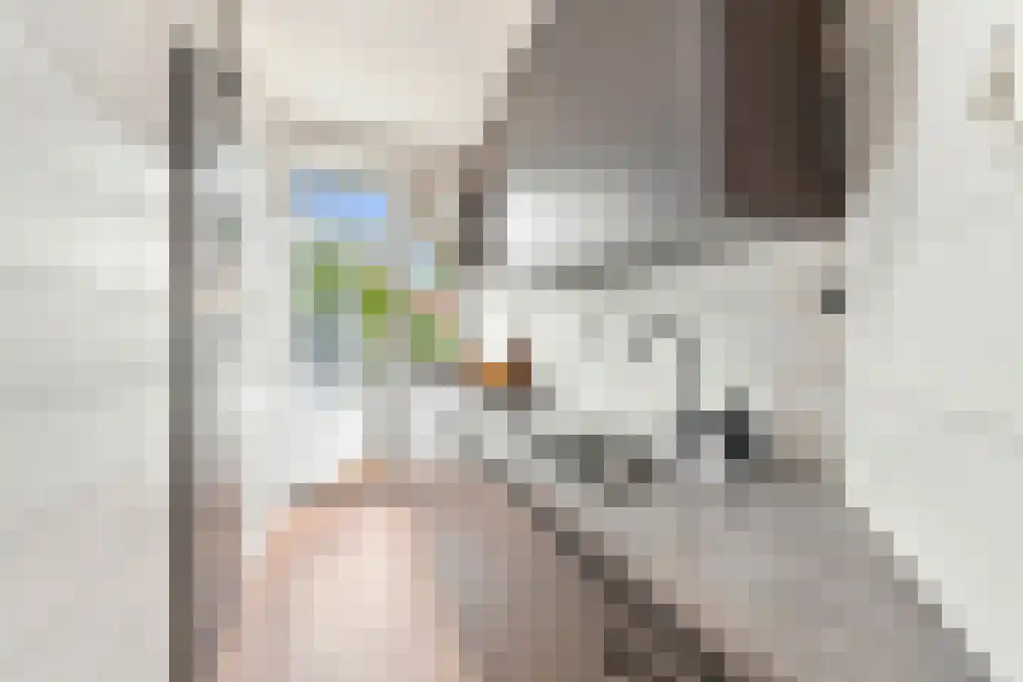 van Halewijnlaan 479 Voorburg thumbnail 19