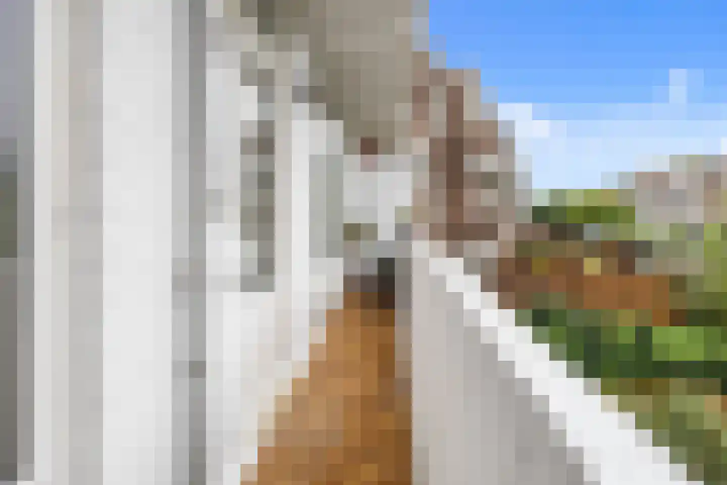 van Halewijnlaan 479 Voorburg thumbnail 4