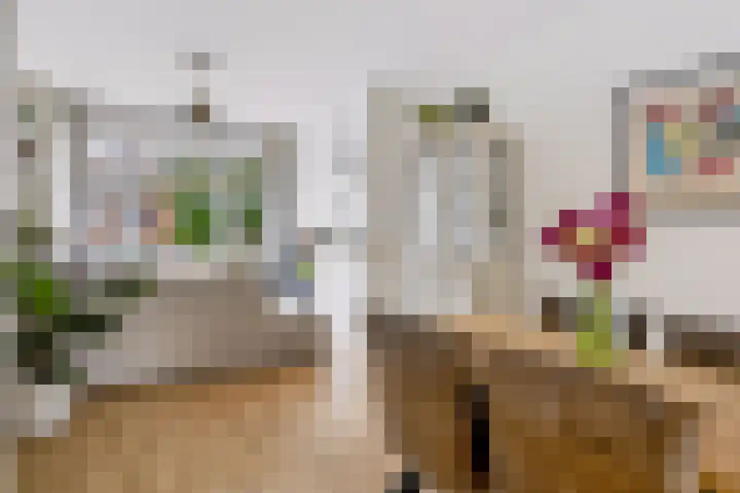 van Halewijnlaan 479 Voorburg thumbnail 7