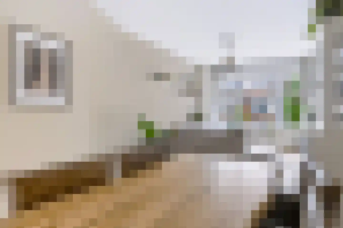 van Halewijnlaan 479 Voorburg thumbnail 8