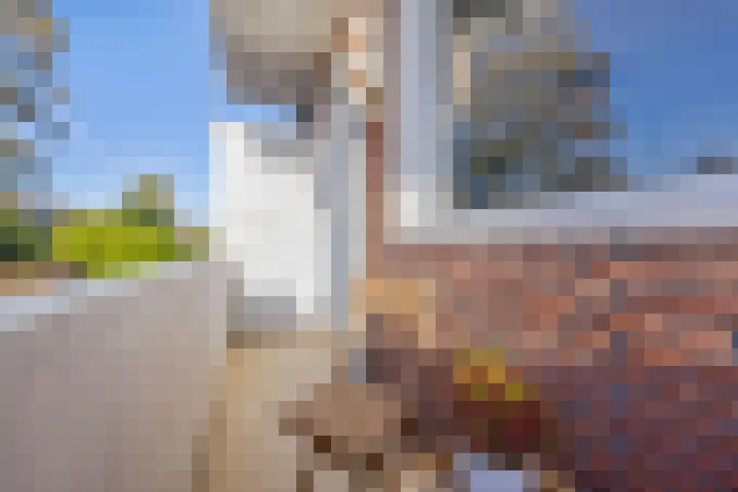 van Halewijnlaan 49 Voorburg thumbnail 14