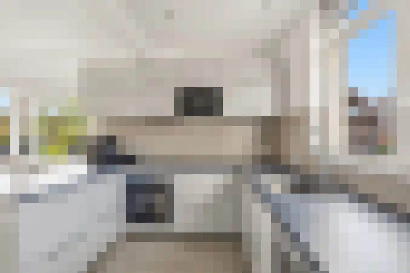 van Halewijnlaan 49 Voorburg thumbnail 4