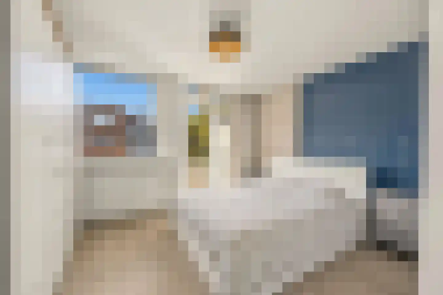 van Halewijnlaan 49 Voorburg thumbnail 5