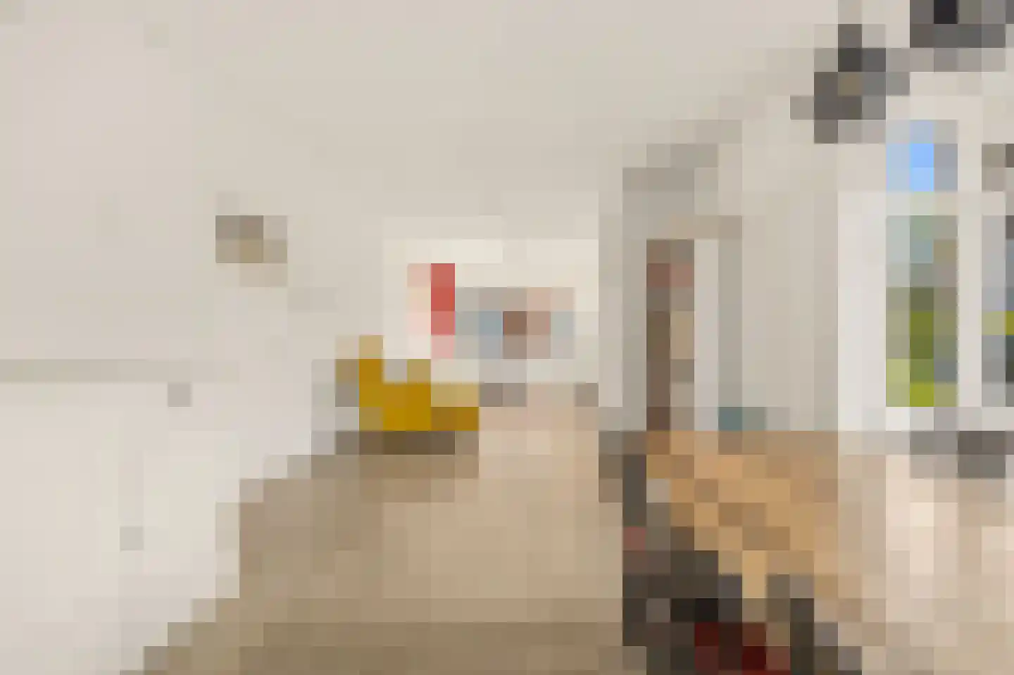 van Halewijnlaan 49 Voorburg thumbnail 7