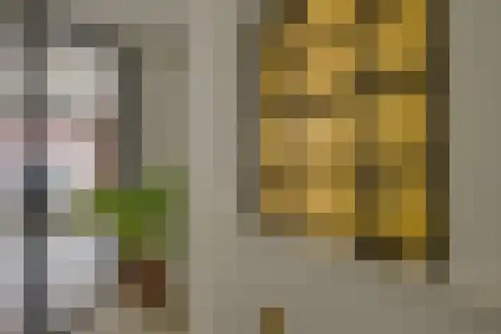 van Halewijnlaan 57 Voorburg thumbnail 11