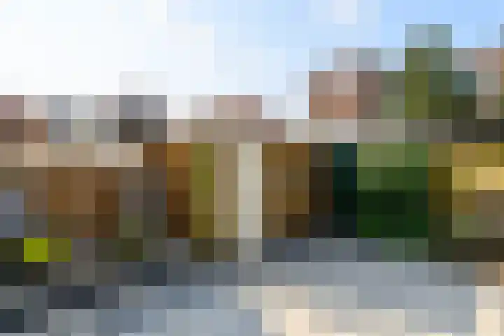 van Halewijnlaan 57 Voorburg thumbnail 22