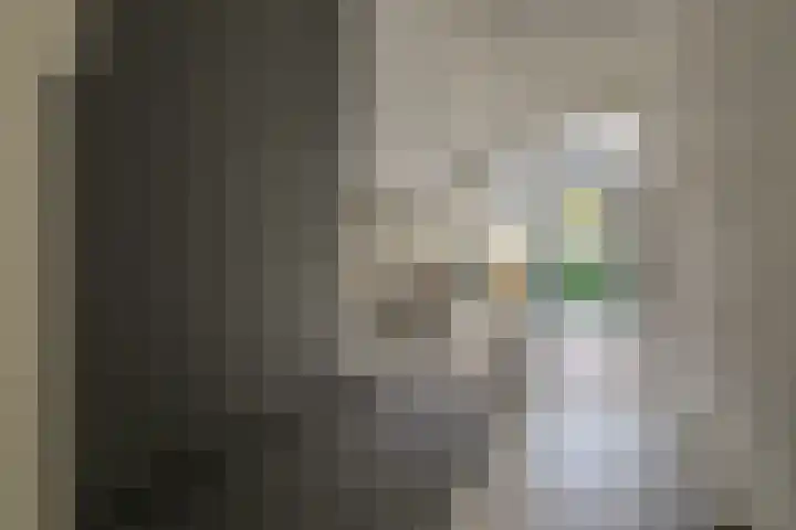 van Halewijnlaan 57 Voorburg thumbnail 4