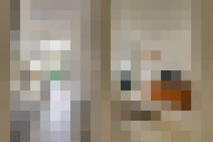 van Halewijnlaan 57 Voorburg thumbnail 8