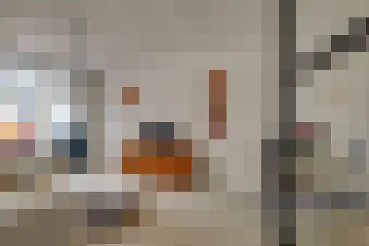 van Halewijnlaan 57 Voorburg thumbnail 9