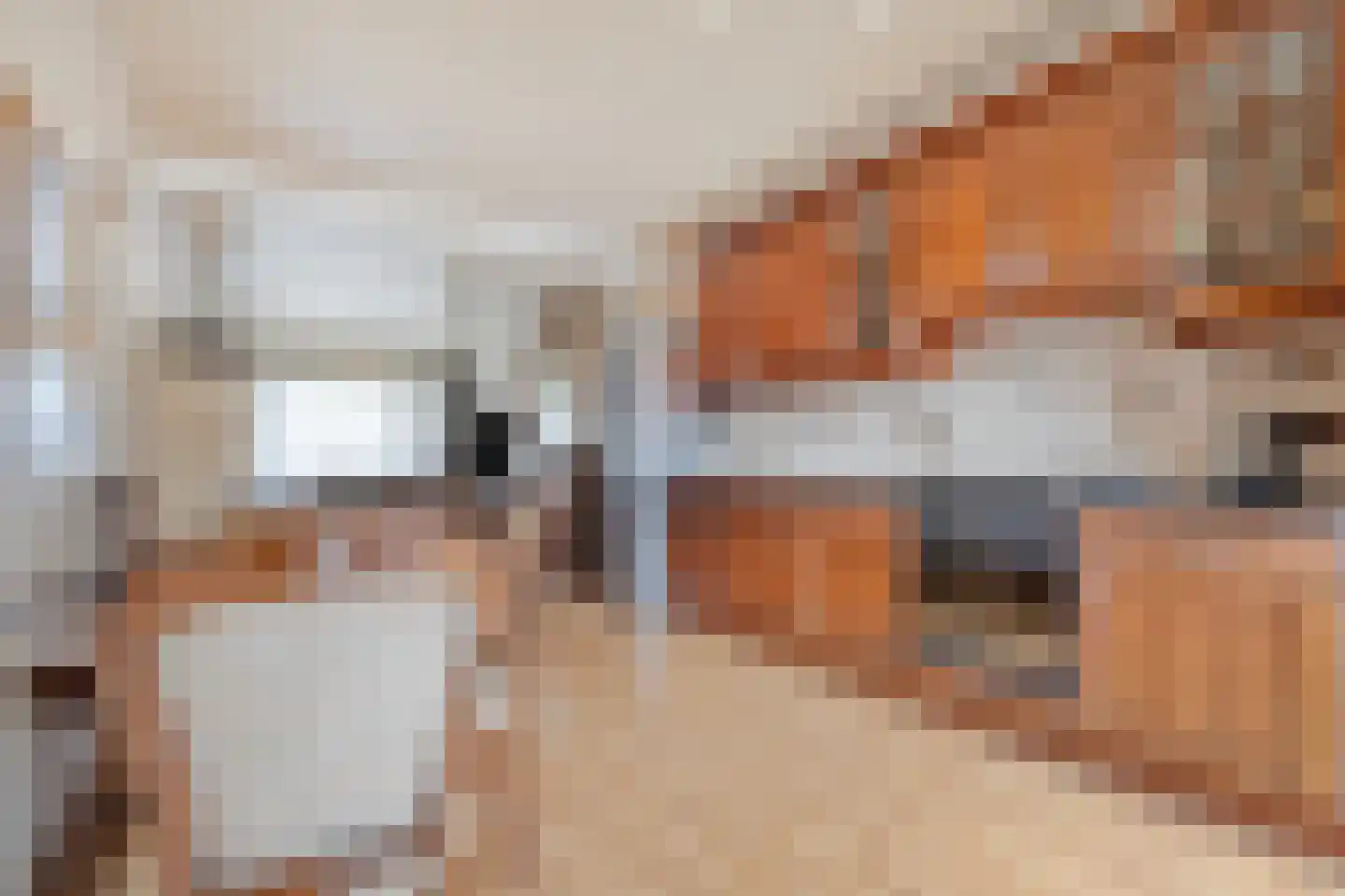 van Halewijnlaan 71 Voorburg thumbnail 19