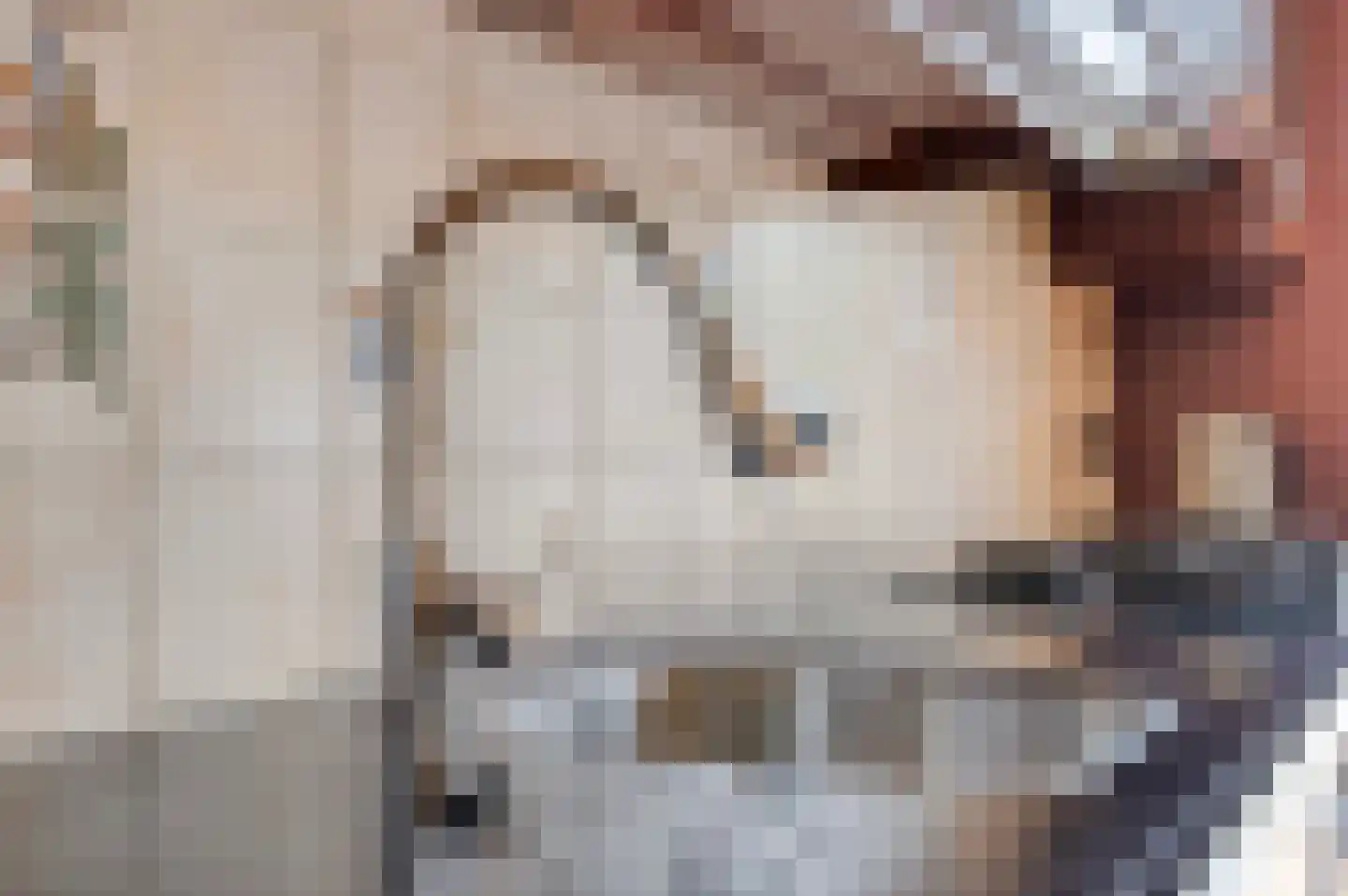 van Halewijnlaan 71 Voorburg thumbnail 20
