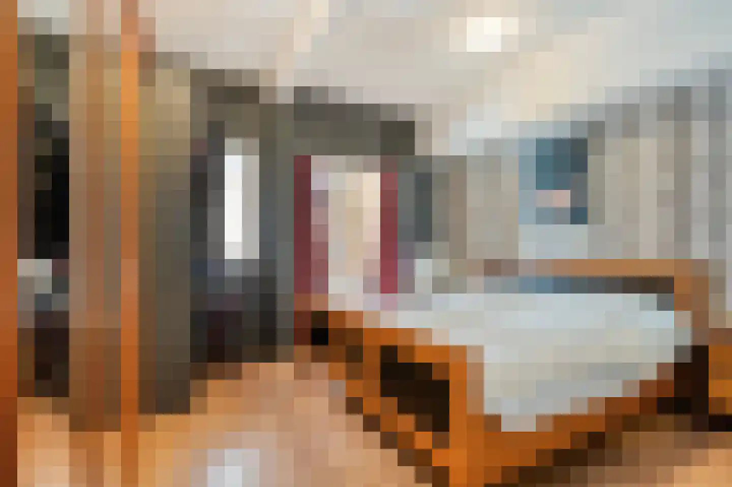 van Halewijnlaan 71 Voorburg thumbnail 21
