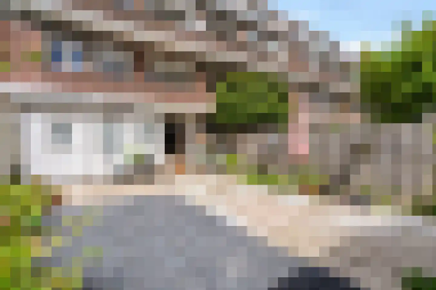 van Halewijnlaan 71 Voorburg thumbnail 29