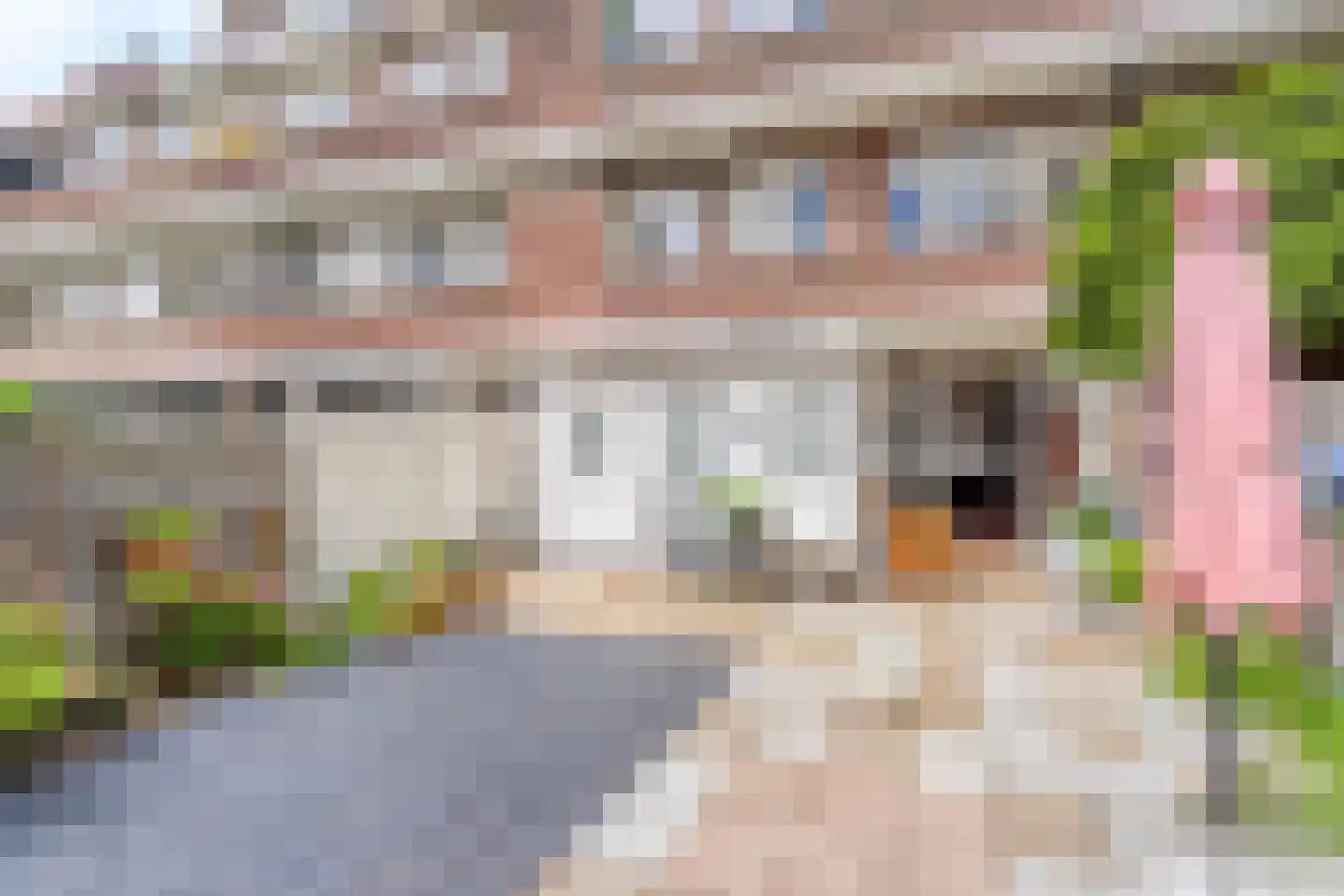 van Halewijnlaan 71 Voorburg thumbnail 30
