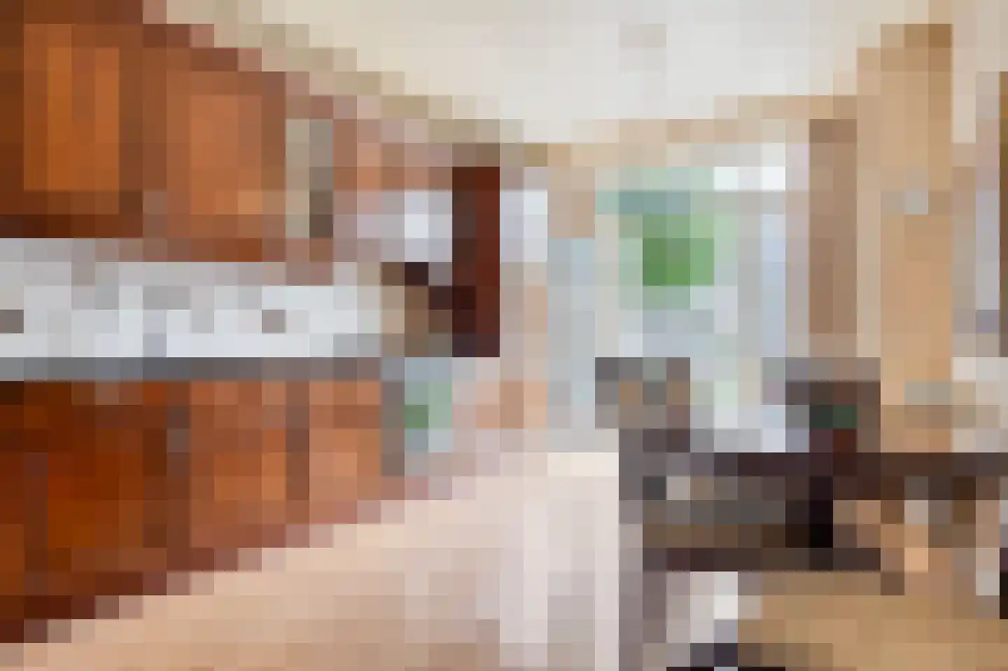 van Halewijnlaan 71 Voorburg thumbnail 4