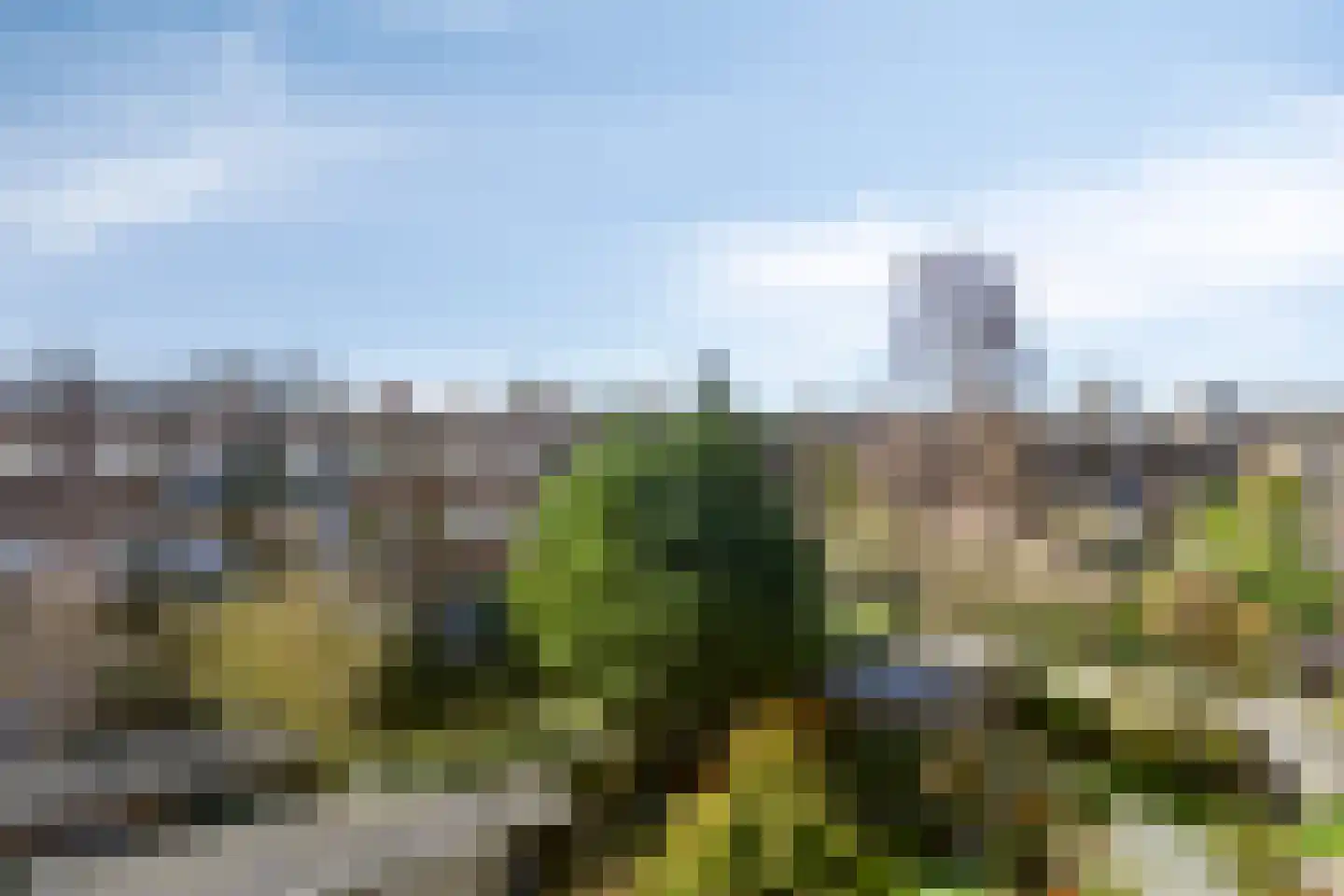 van Halewijnlaan 77 Voorburg thumbnail 19