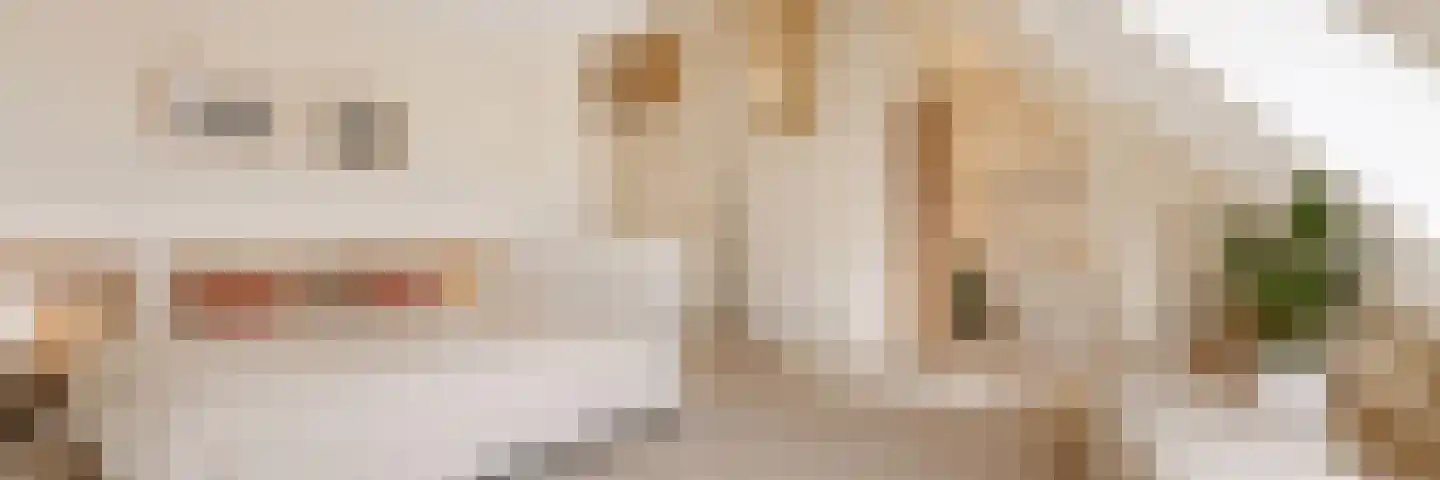 van Halewijnlaan 77 Voorburg thumbnail 26