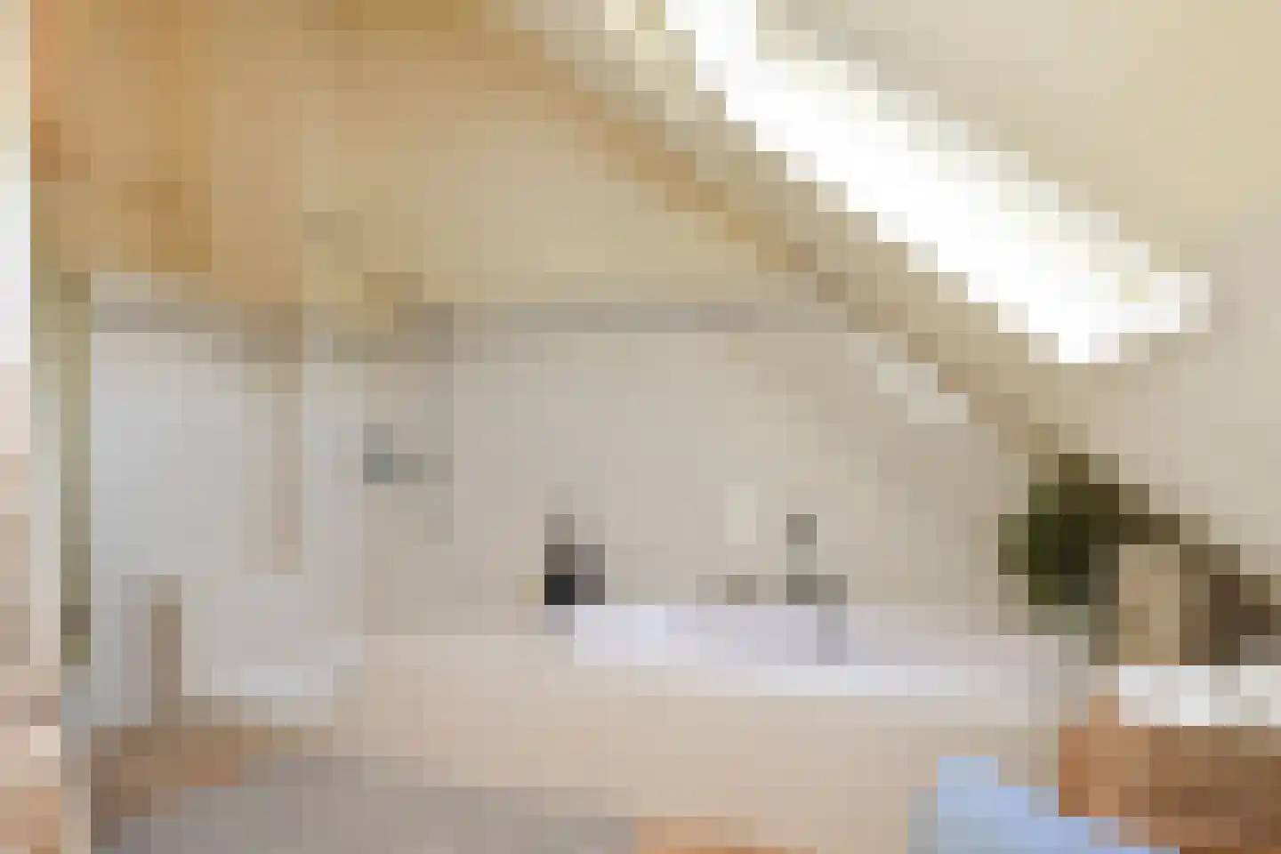 van Halewijnlaan 77 Voorburg thumbnail 27