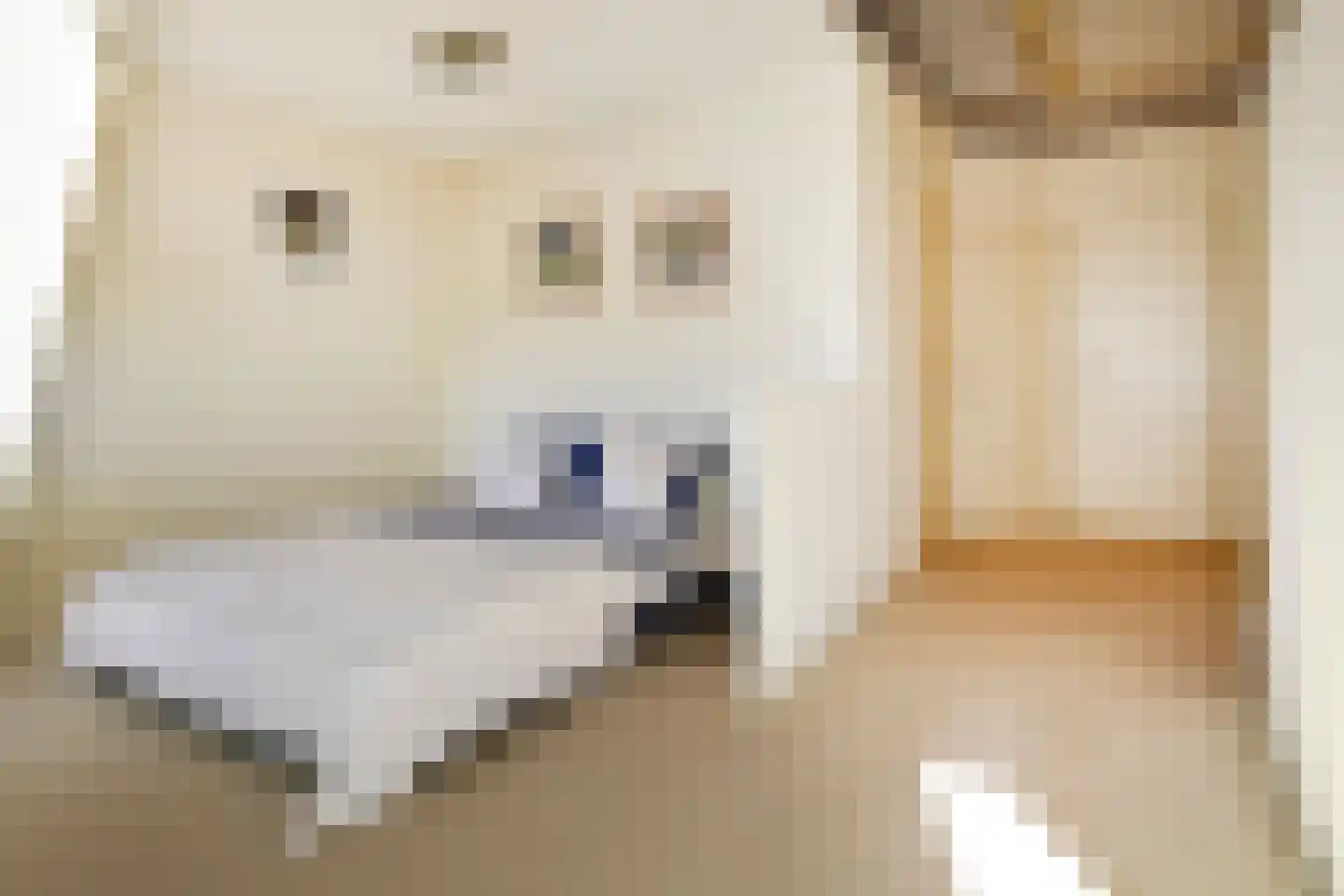 van Halewijnlaan 77 Voorburg thumbnail 38