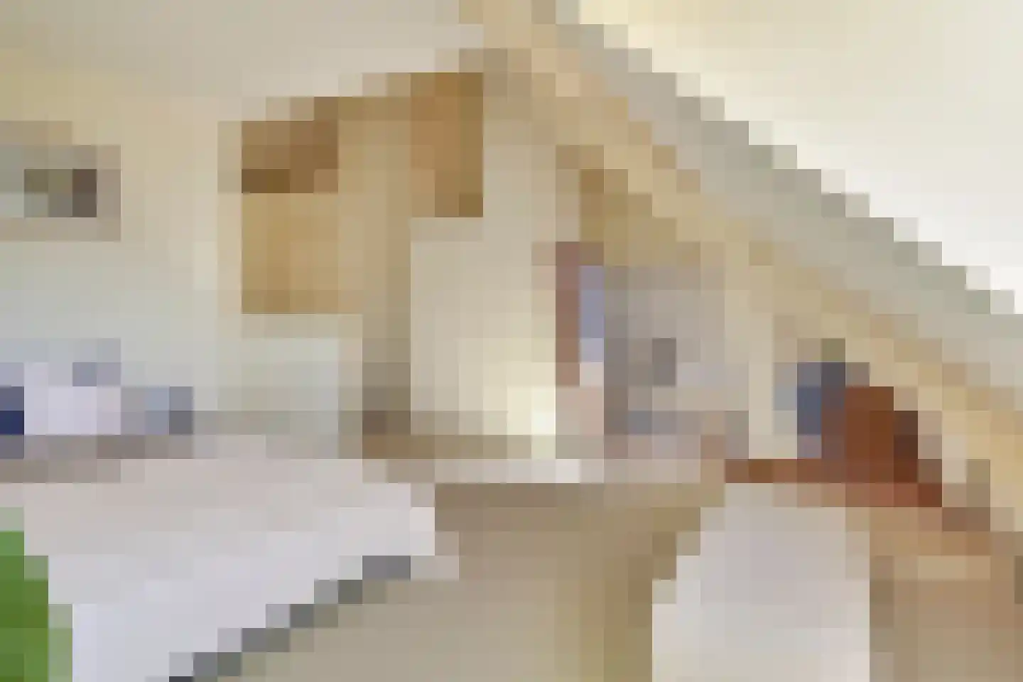 van Halewijnlaan 77 Voorburg thumbnail 39