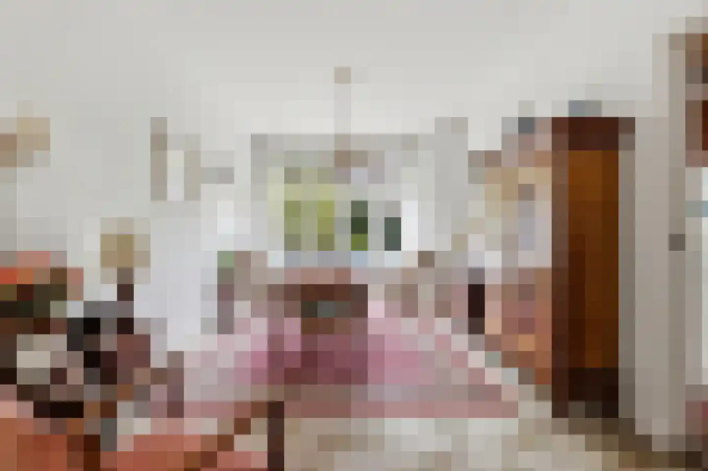 van Halewijnplein 11 Voorburg thumbnail 10