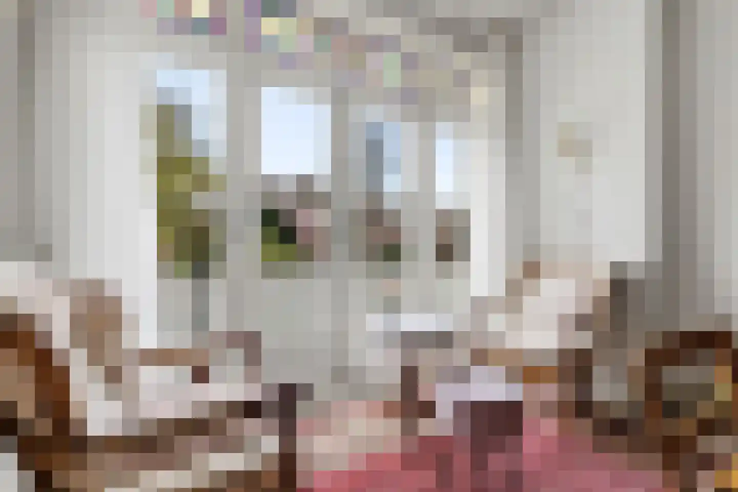 van Halewijnplein 11 Voorburg thumbnail 13