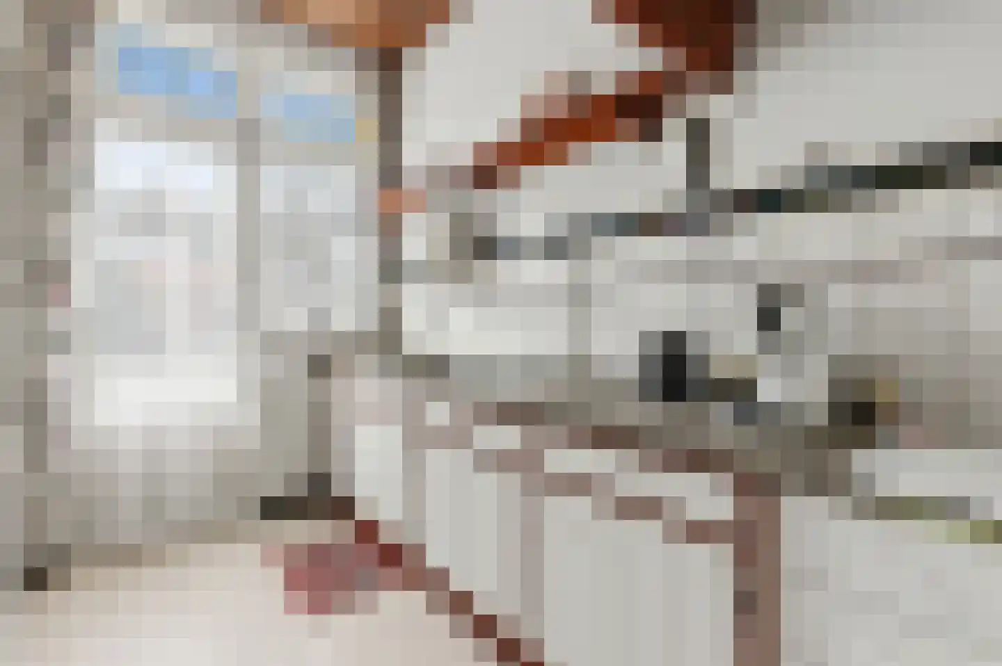van Halewijnplein 11 Voorburg thumbnail 18