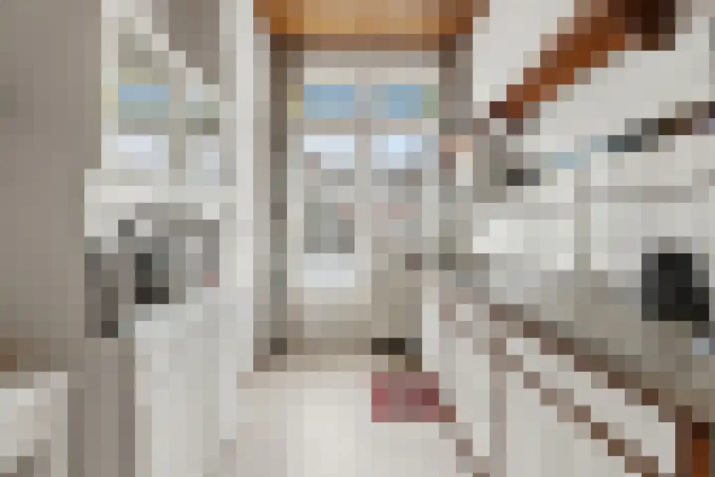 van Halewijnplein 11 Voorburg thumbnail 19