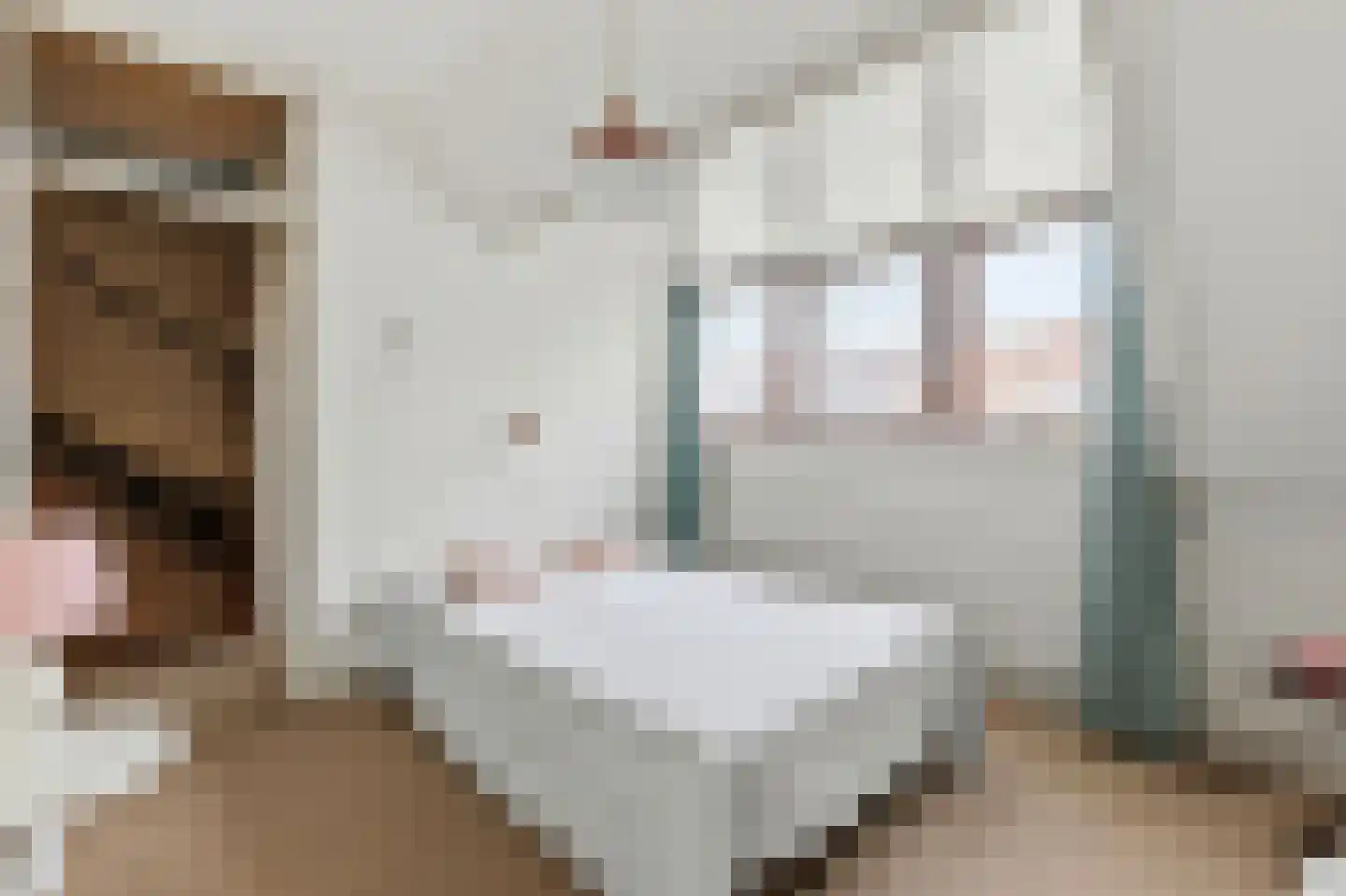 van Halewijnplein 11 Voorburg thumbnail 28