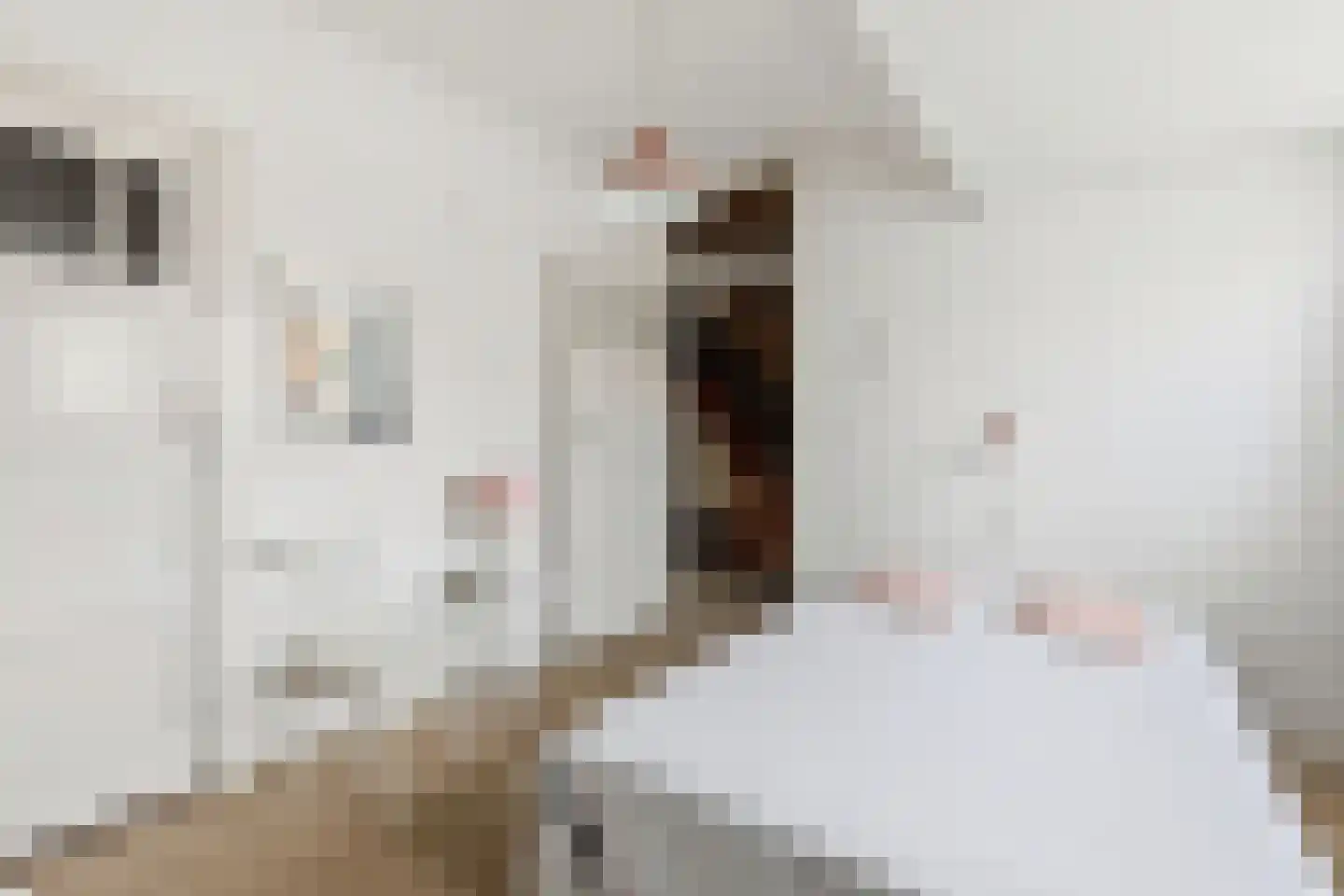 van Halewijnplein 11 Voorburg thumbnail 29