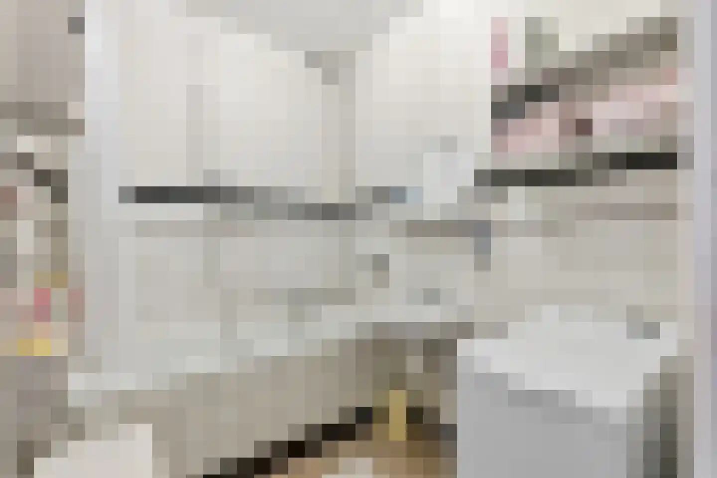 van Halewijnplein 11 Voorburg thumbnail 30