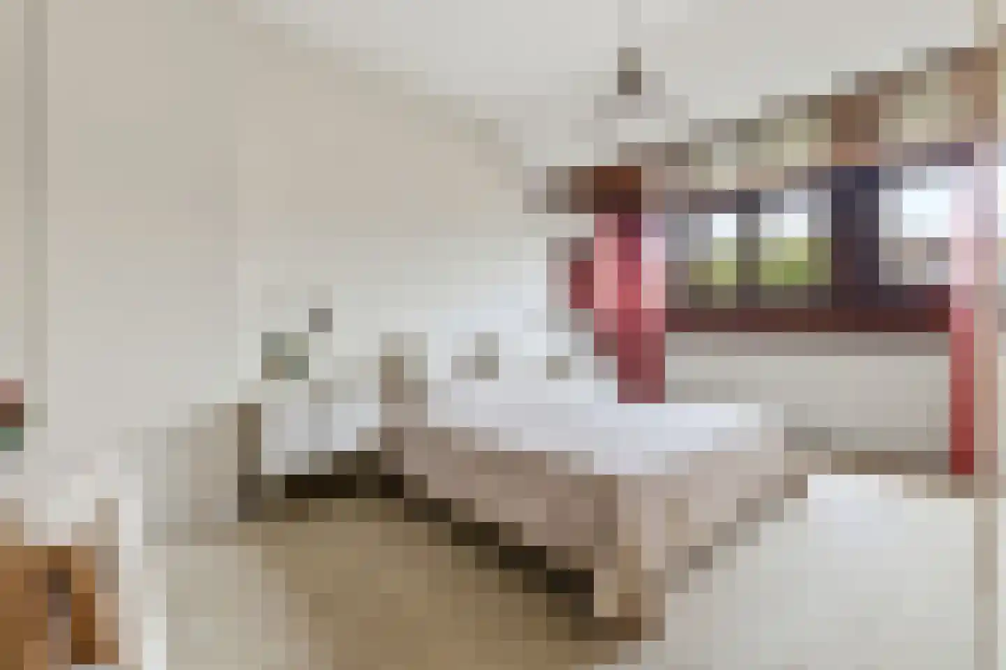 van Halewijnplein 11 Voorburg thumbnail 33