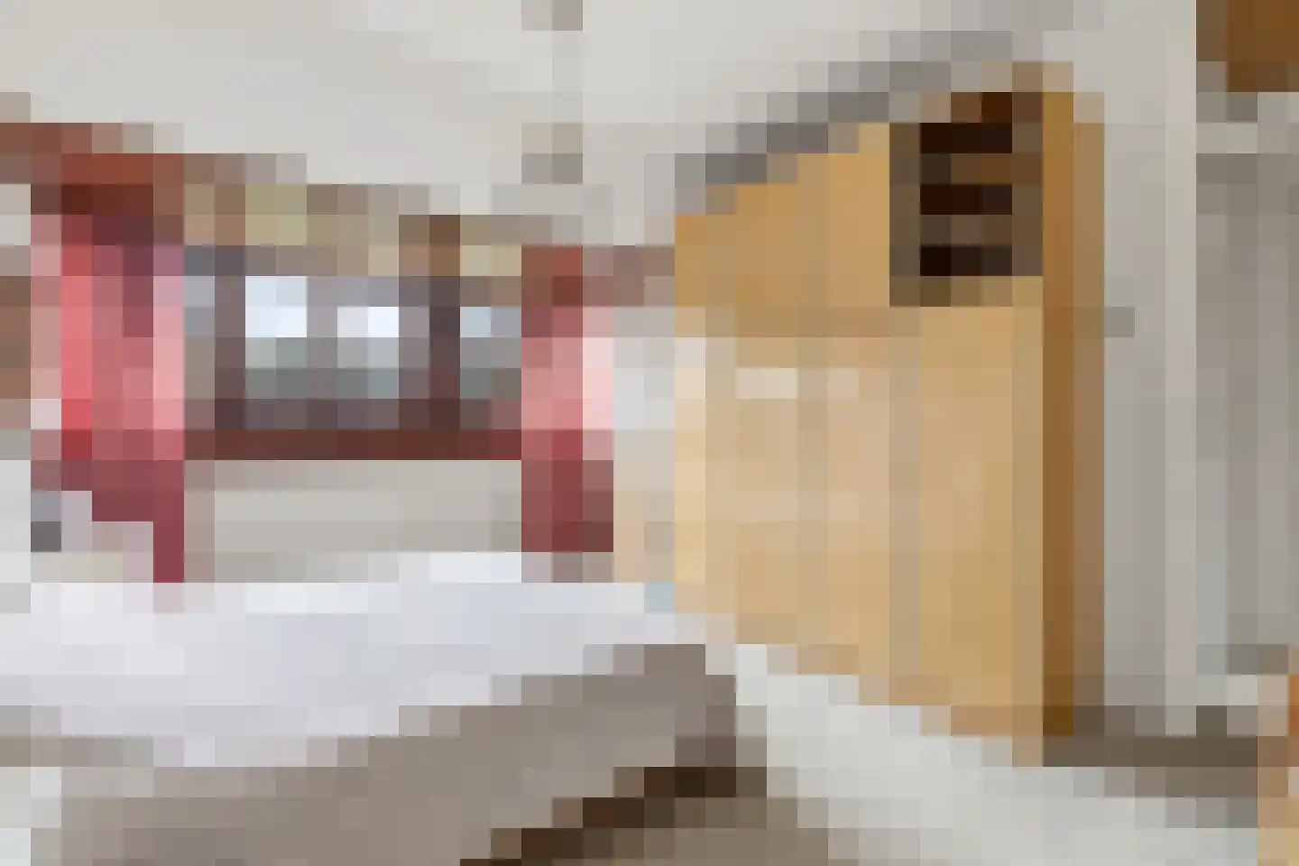 van Halewijnplein 11 Voorburg thumbnail 34