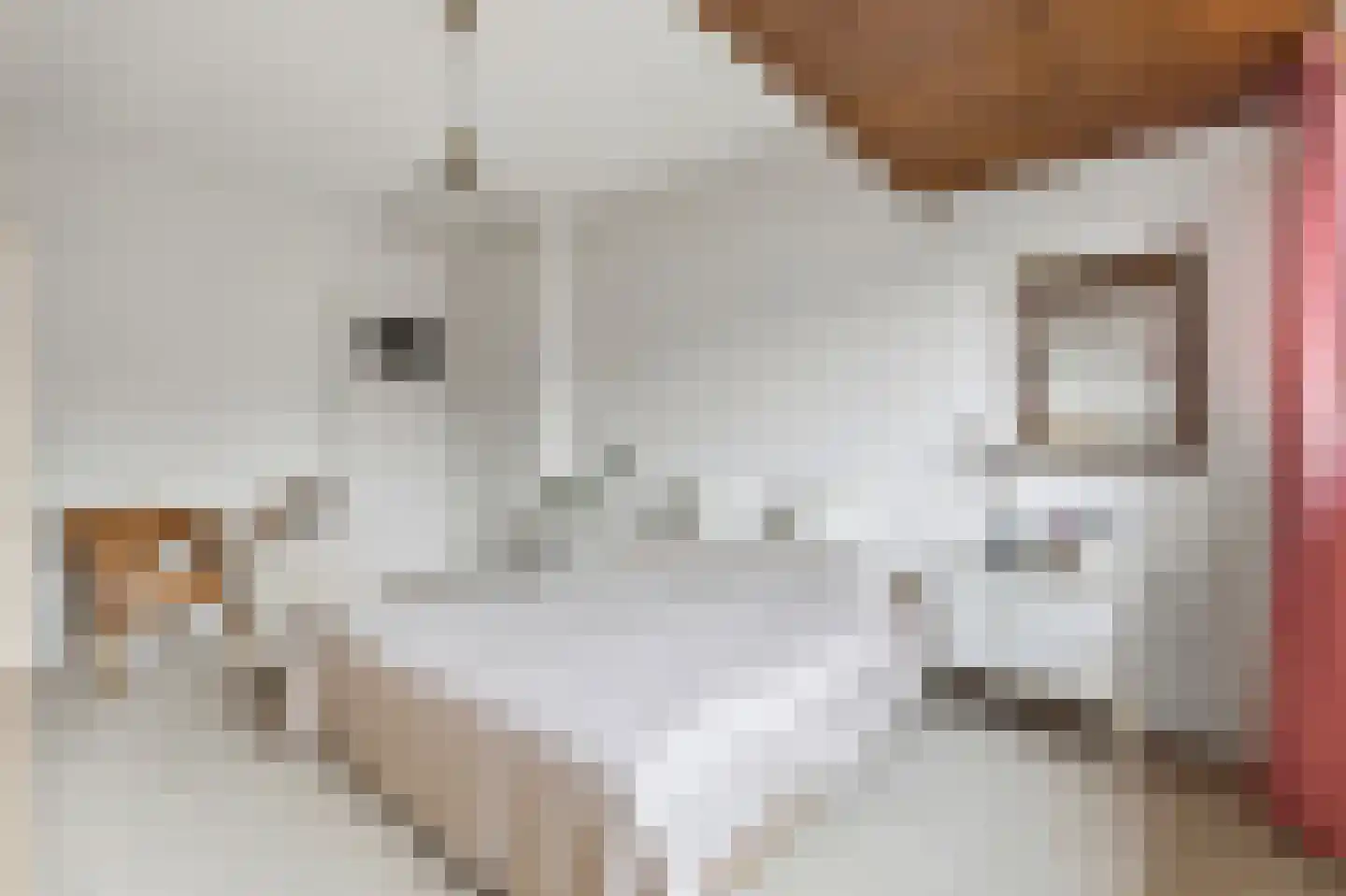 van Halewijnplein 11 Voorburg thumbnail 35
