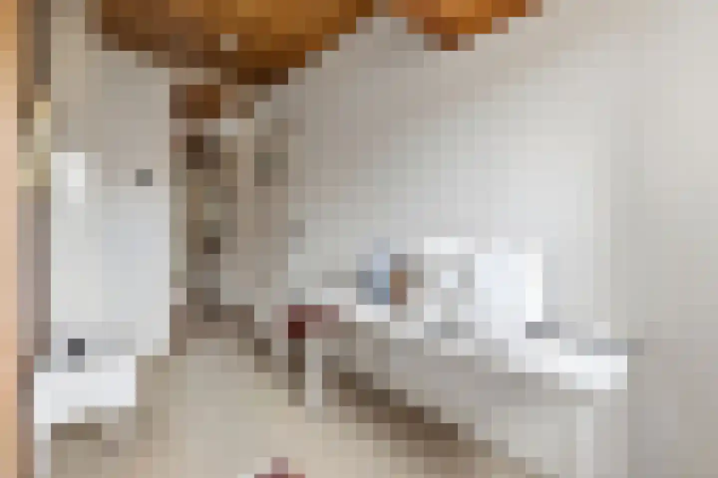 van Halewijnplein 11 Voorburg thumbnail 37