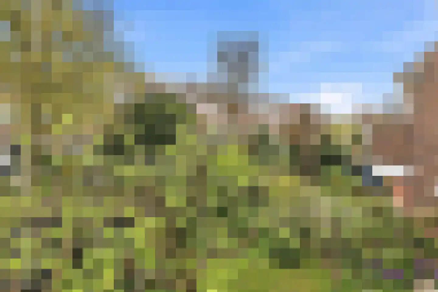van Halewijnplein 11 Voorburg thumbnail 43
