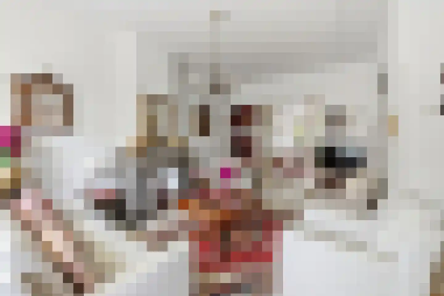 van Halewijnplein 11 Voorburg thumbnail 5